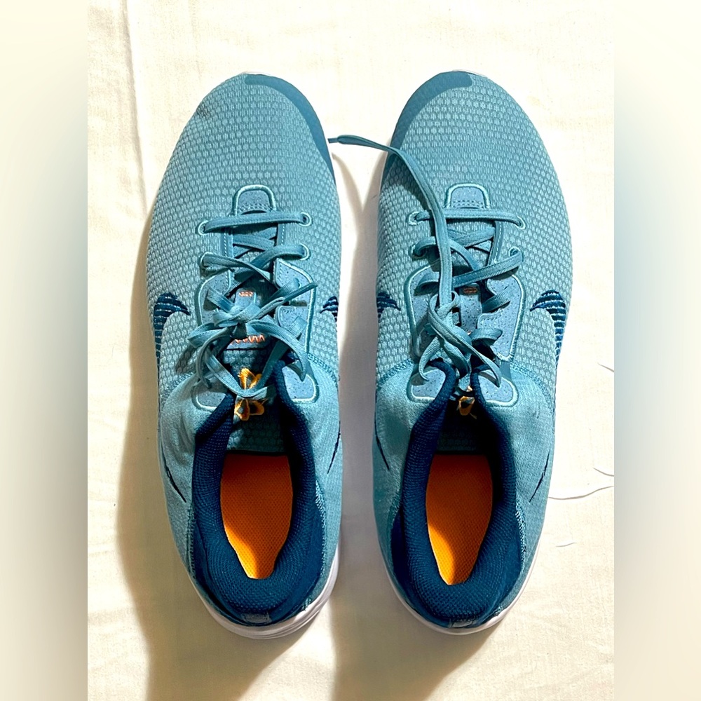 Men’s Nike Flex size 13